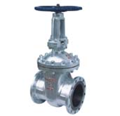 國標(biāo)手動(dòng)閘閥